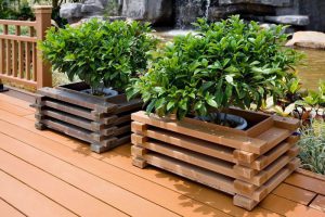 https://accutanrx.com/wp-content/uploads/2022/06/82133a9fde892b4566faa2ed9bdb9f7c-wood-planter-box-wood-planters-300x200.jpg